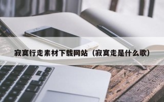 荆州寂寞行走素材下载网站（寂寞走是什么歌）